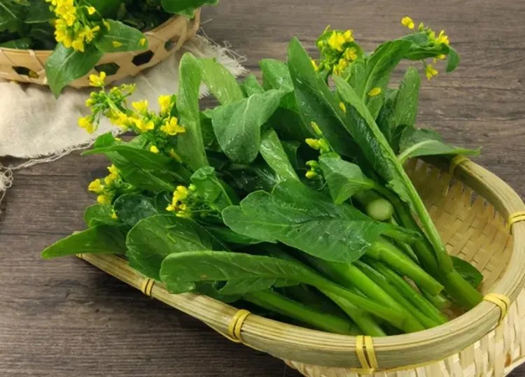 菜心的功效与作用