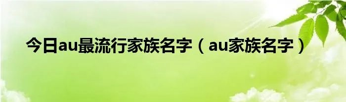 今日au最流行家族名字（au家族名字）