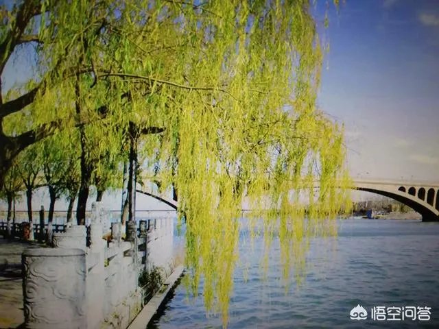 90后女孩当上知名高校副院长,你怎么看?