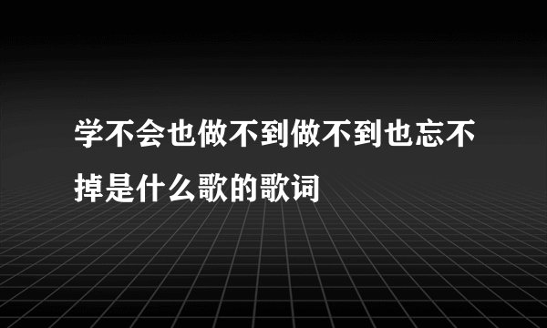 学不会也做不到做不到也忘不掉是什么歌的歌词