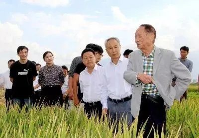 袁隆平江西人为什么一直在湖南？