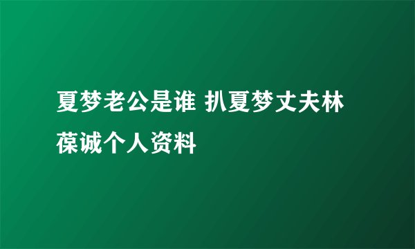 夏梦老公是谁 扒夏梦丈夫林葆诚个人资料