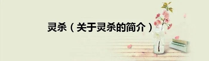 灵杀（关于灵杀的简介）