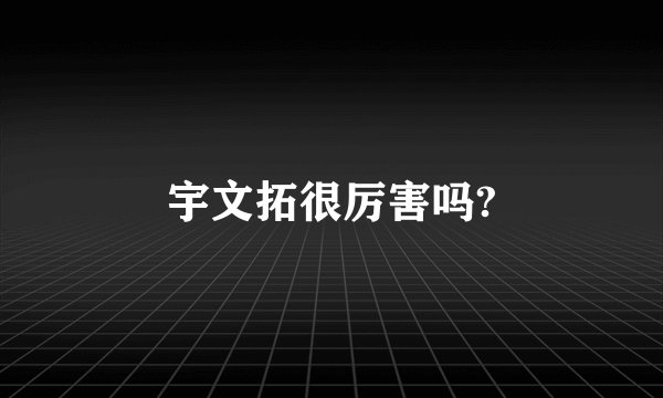 宇文拓很厉害吗?