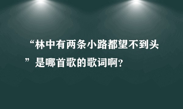 “林中有两条小路都望不到头”是哪首歌的歌词啊？