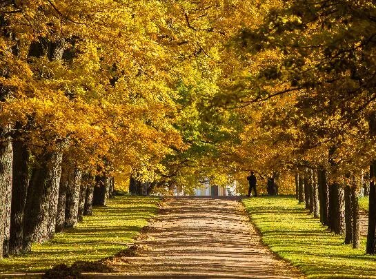 2021年8月7日几点几分立秋 21年立秋节气具体时刻