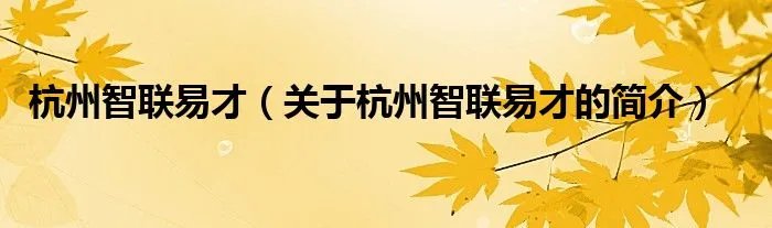 杭州智联易才（关于杭州智联易才的简介）