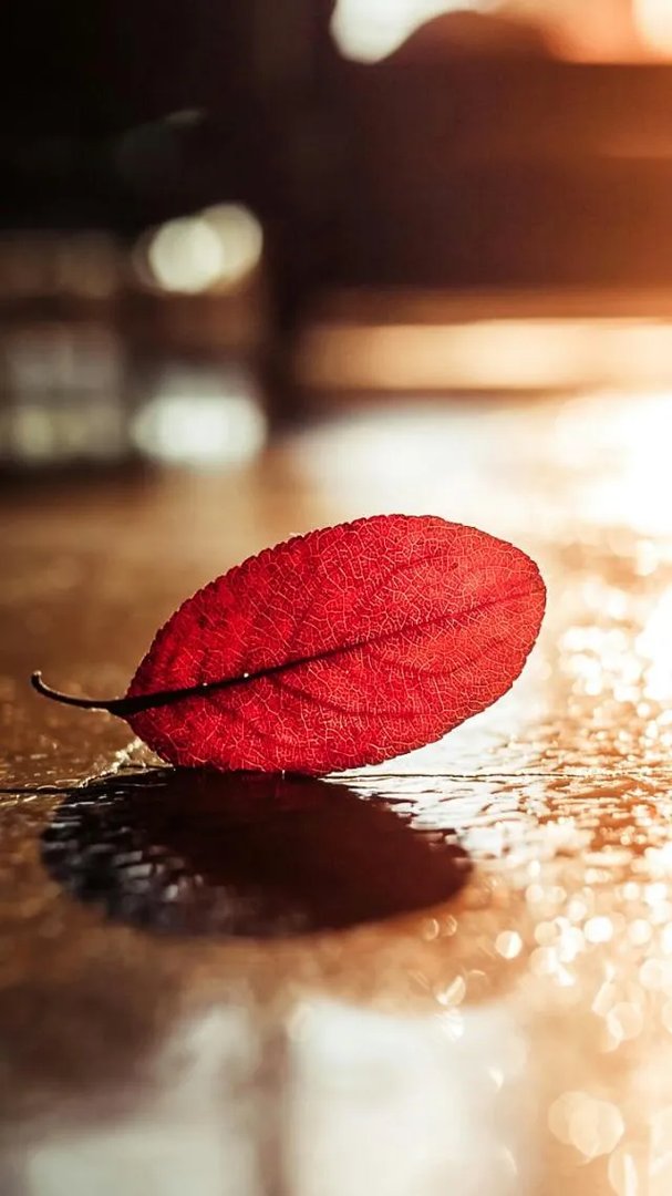 为什么开家长会自己的孩子叫农民工爸为叔？