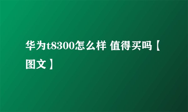 华为t8300怎么样 值得买吗【图文】