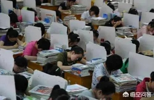 苟晶事件你怎么看？