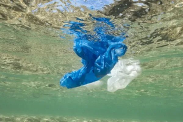 日本开始对塑料购物袋收费是怎么回事？