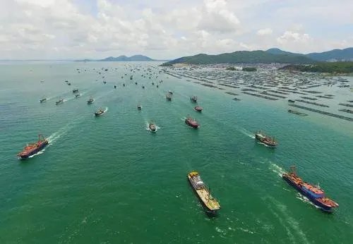 广东阳江籍渔船沉没，现场有无人员伤亡？