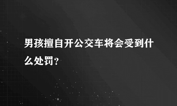 男孩擅自开公交车将会受到什么处罚？