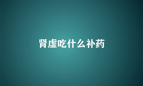 肾虚吃什么补药