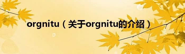 orgnitu（关于orgnitu的介绍）