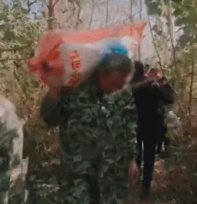 200亩萝卜被拔光什么情况 菜农的做法让人心疼