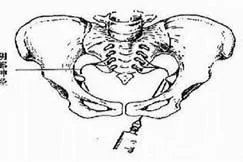 先露与坐骨棘位置图解