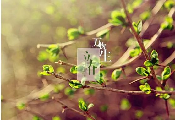 二十四节气图一套 美得令人窒息的二十四节气图