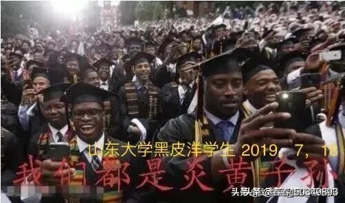 考生伪造清华录取通知书,是谁之过错?