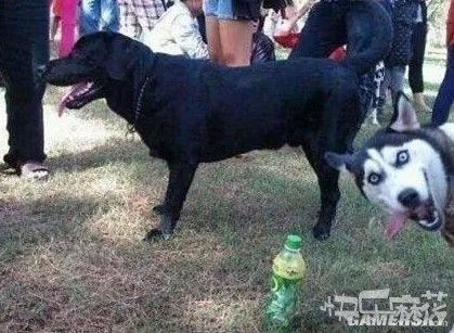 妹子你深深的伤害了我 周一提神囧图大赏