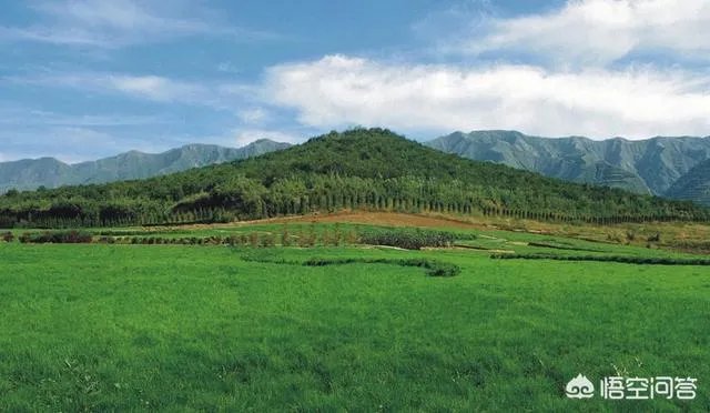 中国已知的大墓有哪些？