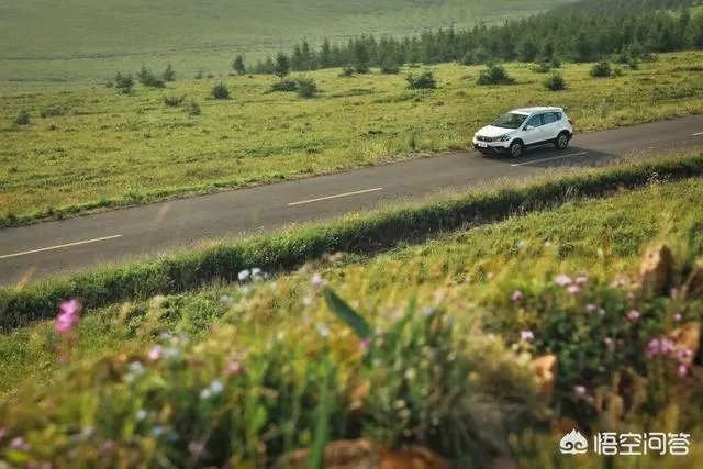 中国哪个草原最漂亮？最值得一去？