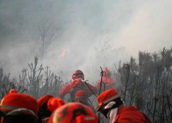 福建漳浦大埔村突发山火，山火发生的原因都有什么？