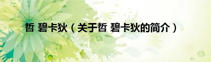 哲 碧卡狄（关于哲 碧卡狄的简介）