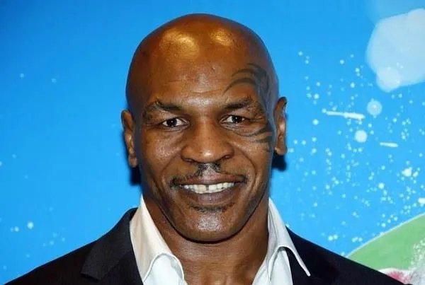 泰森约战甄子丹谁赢了 看看“拳王”当年到底有多强