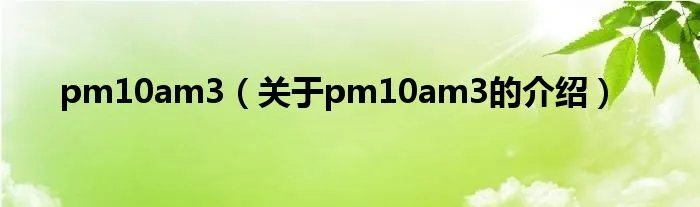 pm10am3（关于pm10am3的介绍）