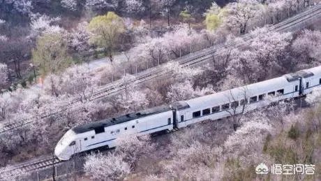 北京有哪些地方适合春游?