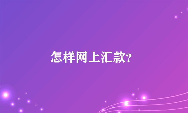 怎样网上汇款？