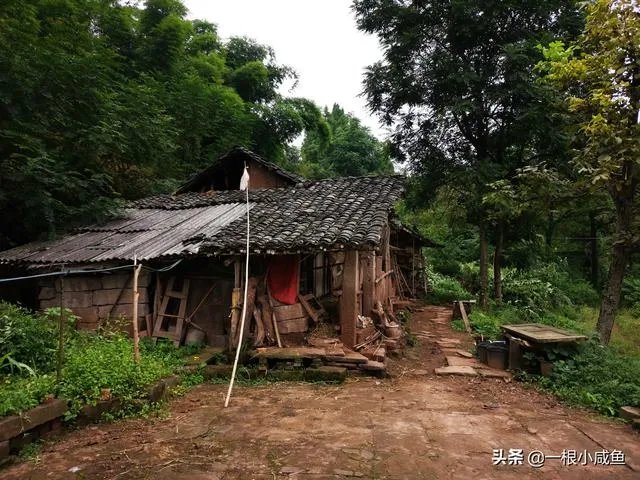 2020年合村并镇试点名单？合村并镇有何好处？