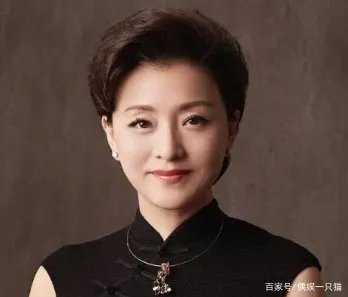 杨澜的老公是谁