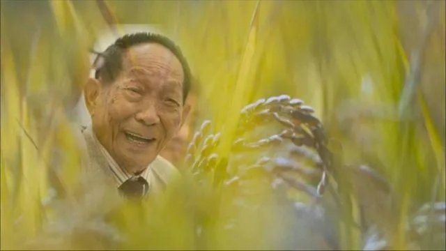 袁隆平江西人为什么一直在湖南？