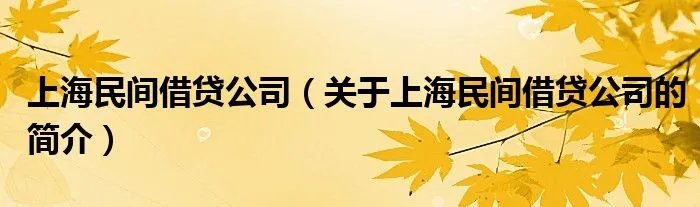 上海民间借贷公司（关于上海民间借贷公司的简介）