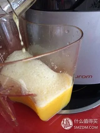 中了电视购物的毒！HUROM 韩国惠人 HU-500DG 原汁机