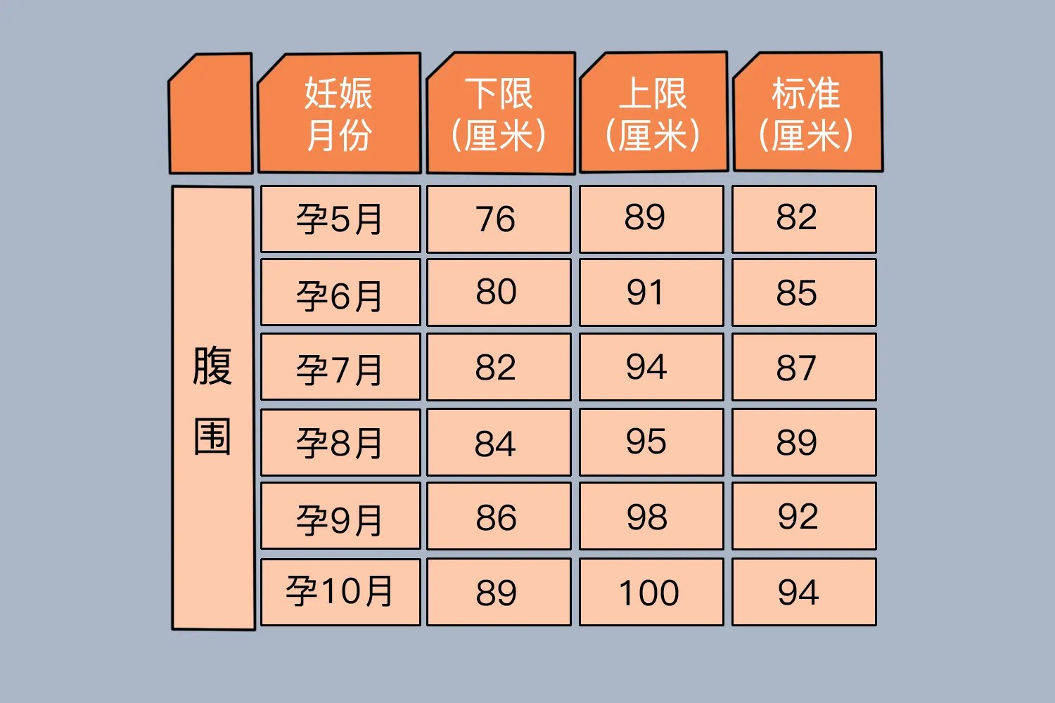 孕期腹围宫高标准图