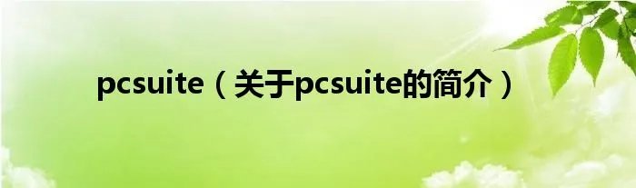 pcsuite（关于pcsuite的简介）