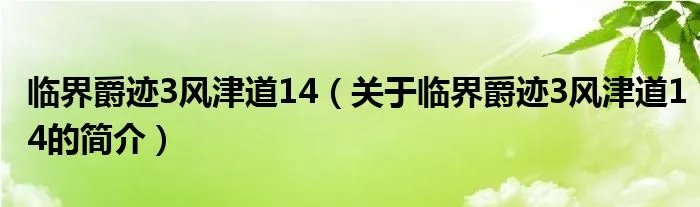 临界爵迹3风津道14（关于临界爵迹3风津道14的简介）