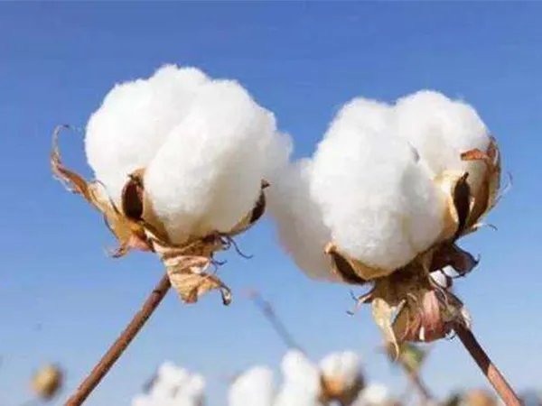 2022婴儿隔尿垫10大品牌出炉,好孩子、十月结晶均上榜