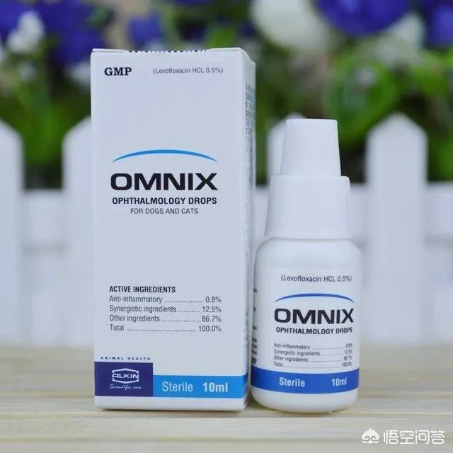 詹姆斯眼睛充血的问题怎么样了？