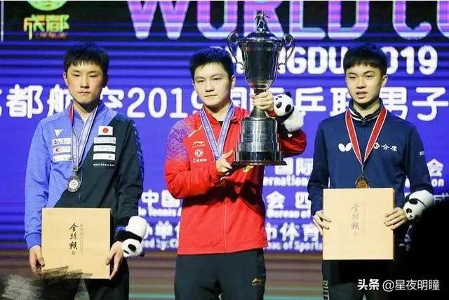 樊振东评价张本智和,称其“非常向上,永远打不服”,是怎么回事?如何评价?