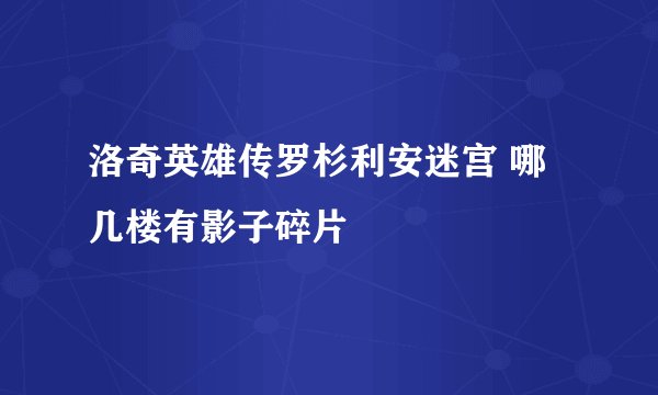 洛奇英雄传罗杉利安迷宫 哪几楼有影子碎片