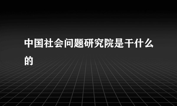 中国社会问题研究院是干什么的