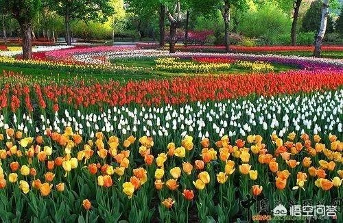 北京有哪些地方适合春游?