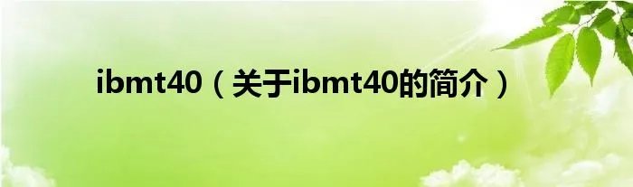 ibmt40（关于ibmt40的简介）