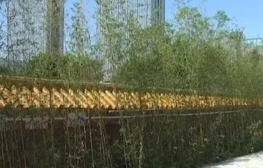 收楼发现是墓景房，消费者应如何维权？