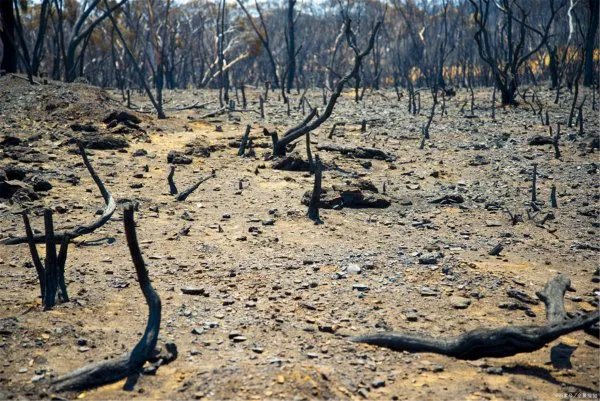 澳大利亚维多利亚州,面临着怎样的灾难局面?