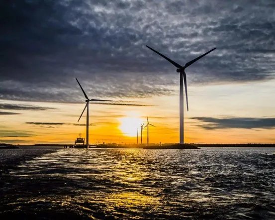 移民需要水电费单翻译，怎么弄，谢谢。